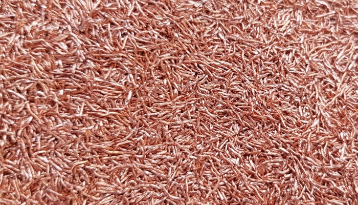 Đồng dạng hạt